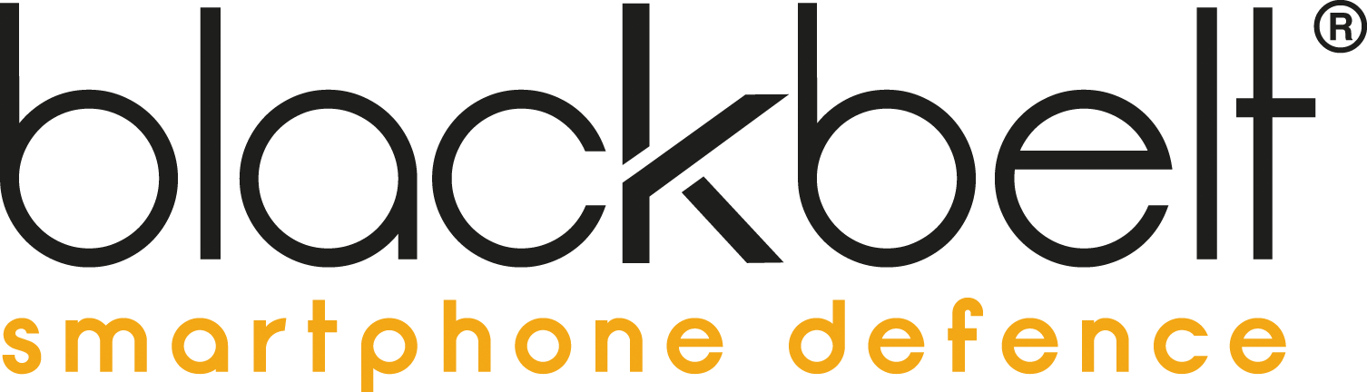 Logo blackbelt datawiping